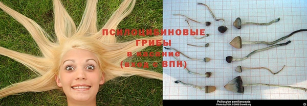 амфетамин Дмитриев