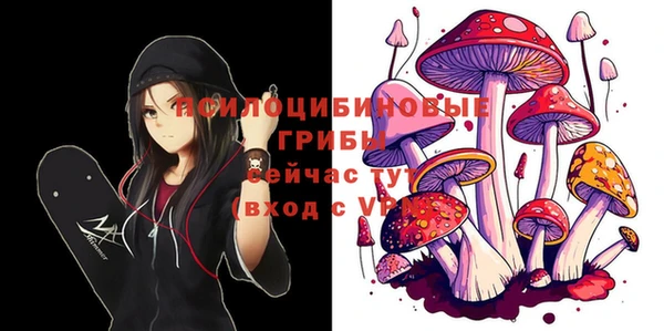 ГАЛЛЮЦИНОГЕННЫЕ ГРИБЫ Дмитров