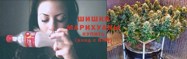 ГАЛЛЮЦИНОГЕННЫЕ ГРИБЫ Дмитров